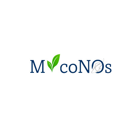 MYCONOS-ok