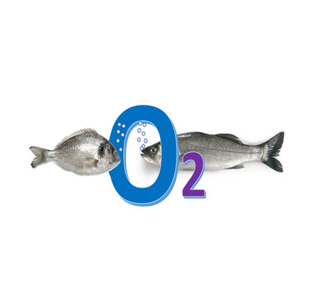 o2fish